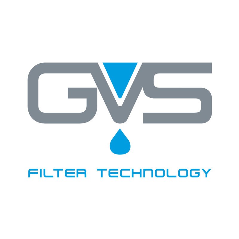 logo GVS
