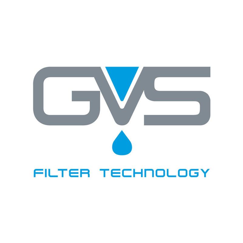 logo GVS